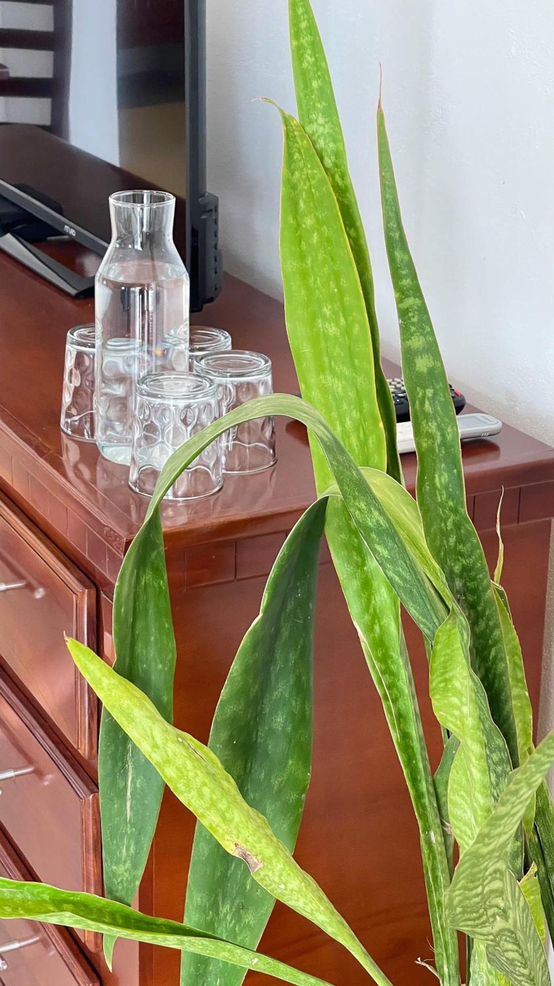 Quinta Alberto Boutique Hotel San Blas Szoba fotó