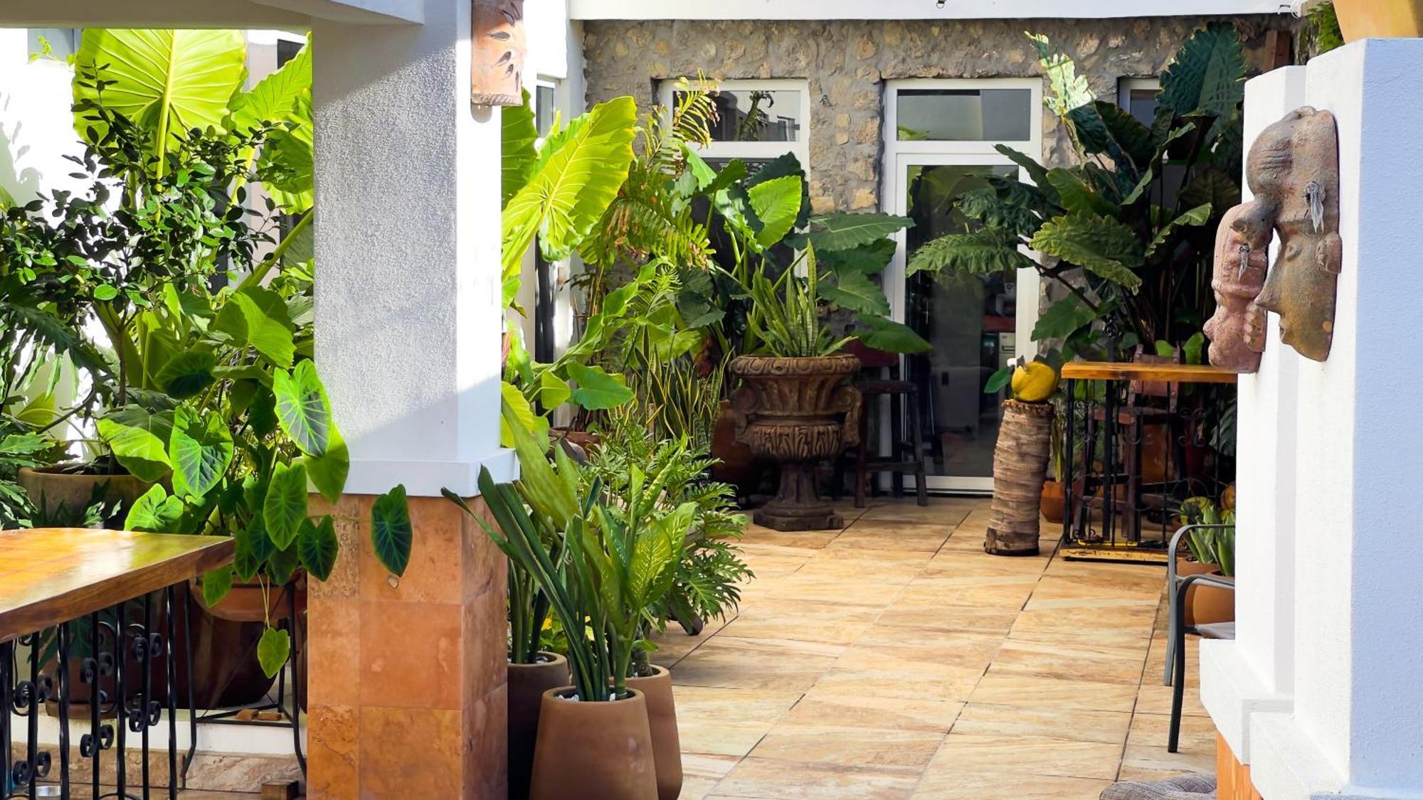 Quinta Alberto Boutique Hotel San Blas Kültér fotó
